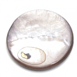 Schelp kraal, rond, grijs, 24 mm  (5 st.)