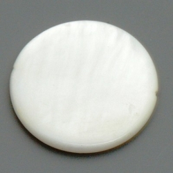 Schelp kraal, rond, wit, 24 mm (5 st.)
