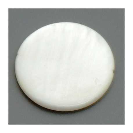 Schelp kraal, rond, wit, 24 mm (5 st.)