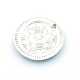 Metaal, hanger, munt, zilver, 26 mm (10 st.)