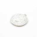 Metaal, hanger, munt, zilver, 28 mm (5 st.)