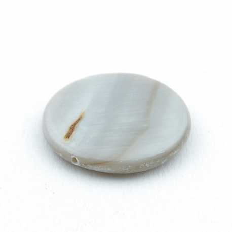 Schelp kraal, rond, grijs, 24 mm  (5 st.)