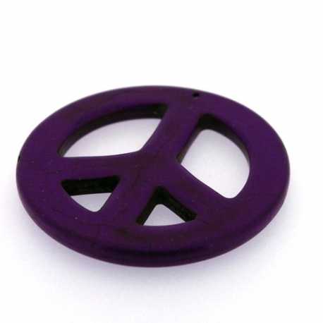 Halfedelsteen hanger Gekleurd Turquoise, 54 mm (1 st.)