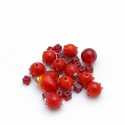 Glaskraal, mix, rood (100 gram)