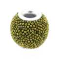 Kashmiri kraal, rond, groen, 10 mm (5 st.)