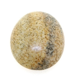 Cabochon, halfedelsteen, Picture Jasper, ovaal, 16 x 12 mm (5 st.)