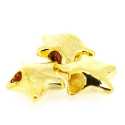 DQ metaal, leerschuiver, goud, ster, 16 mm, rijggat 4 mm (10 st.)