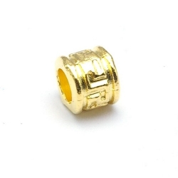 Leerschuiver, DQ, goud, 6 x 8 mm, rijggat 4 mm (5 st.)
